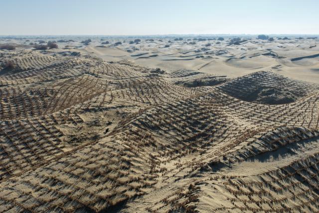 (260112) -- MOYU, Jan. 12, 2026 (Xinhua) -- An aerial drone photo taken on Jan. 11, 2026 shows a view of grass grids in the desert around Kawak Township of Moyu County, Hotan Prefecture, northwest China's Xinjiang Uygur Autonomous Region. Desertification prevention-and-control, one of the top-priority missions in Xinjiang for many years, offers extra job opportunities for local farmers in the slack season.
   Braving an air temperature below the freezing point, local farmers are now busy preparing reeds and laying sand grids. Apart from consolidating the ecological security line for the neighborhood, their contribution also brings in extra income for their own families. (Xinhua/Ding Lei)