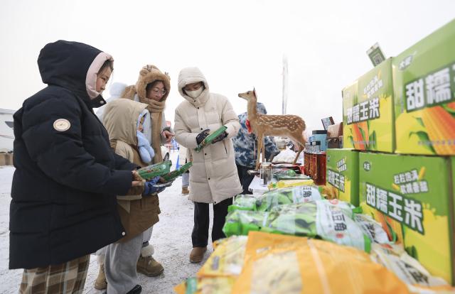 (260112) -- QIQIHAR, Jan. 12, 2026 (Xinhua) -- A vendor promotes local specialty products to tourists at a market of a camping festival in Qiqihar City, northeast China's Heilongjiang Province, on Jan. 12, 2026. The week-long camping festival opened here on Monday, where camping enthusiasts and tourists across China are allowed to experience the unique charm of camping and local folk customs in frigid chilliness. (Photo by Xu Shuai/Xinhua)