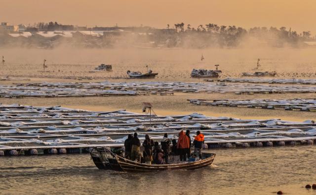 (260113) -- BEIJING, Jan. 13, 2026 (Xinhua) -- A drone photo taken on Jan. 12, 2026 shows fog formed on the extreme-cold surface of water at Ailun Bay in Rongcheng City, east China's Shandong Province. (Photo by Li Xinjun/Xinhua)