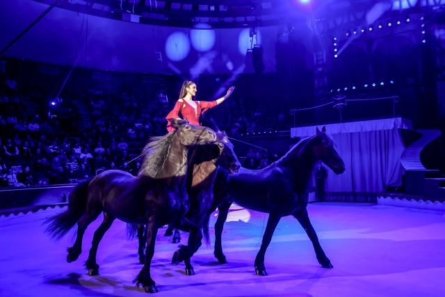 (260113) -- BUDAPEST, Jan. 13, 2026 (Xinhua) -- An artist performs during the gala show of the 16th Budapest International Circus Festival in Budapest, Hungary, on Jan. 12, 2026. (Photo by David Balogh/Xinhua)