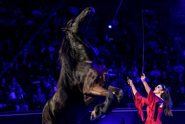 (260113) -- BUDAPEST, Jan. 13, 2026 (Xinhua) -- An artist performs during the gala show of the 16th Budapest International Circus Festival in Budapest, Hungary, on Jan. 12, 2026. (Photo by David Balogh/Xinhua)