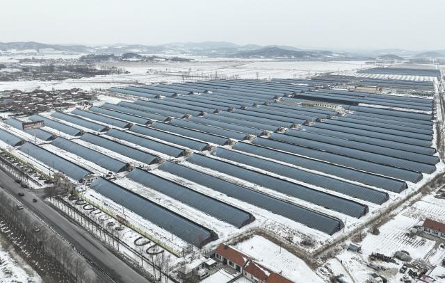 (260113) -- DONGGANG, Jan. 13, 2026 (Xinhua) -- An aerial drone photo taken on Jan. 12, 2026 shows strawberry greenhouses in Donggang City of northeast China's Liaoning Province. As China's largest strawberry production and export base, Donggang boasts a stable strawberry planting area of approximately 200,000 mu (about 13,333 hectares). More than 100,000 farming households in the city are engaged in strawberry cultivation.
   Local authorities have been investing heavily in talent development, brand building, and financing support to further upgrade strawberry-based economy here. (Xinhua/Pan Yulong)