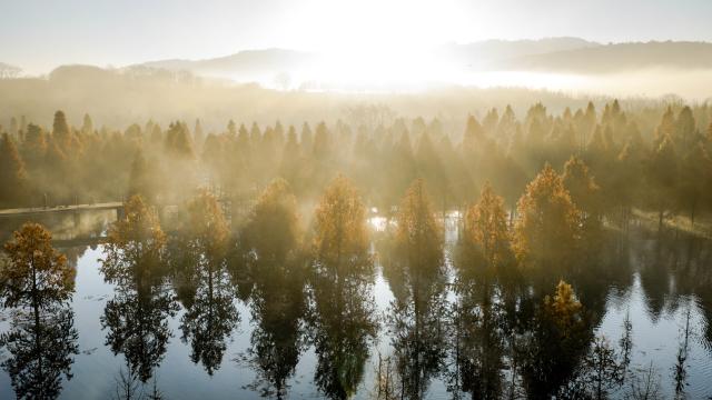 (260114) -- KUNMING, Jan. 14, 2026 (Xinhua) -- An aerial drone photo taken on Jan. 14, 2026 shows a dawn redwood wetland in Panlong District, Kunming, southwest China's Yunnan Province. (Xinhua/Hu Chao)