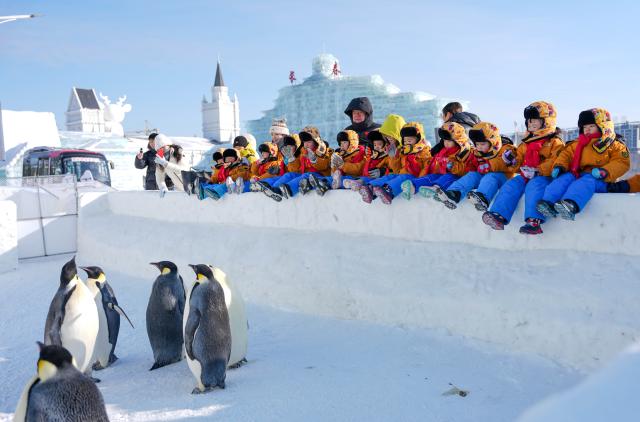 (260115) -- BEIJING, Jan. 15, 2026 (Xinhua) -- Children from southwest China's Guangxi Zhuang Autonomous Province, nicknamed as "Little Sugar Orange", watch penguins at Changchun Ice and Snow New World in Changchun, northeast China's Jilin Province, Jan. 14, 2026. A study tour composed of over a dozen children aged 3 to 6 from Guangxi traveled over 3,000 kilometers from the warm south to the northeast to experience the icy world. (Xinhua/Yan Linyun)