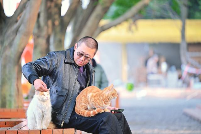 (260115) -- CHONGQING, Jan. 15, 2026 (Xinhua) -- A visitor interacts with cats at a cat-themed park in Nan'an District, southwest China's Chongqing, Jan. 5, 2026. Since 2025, a vacant lot along the Yangtze River in Chongqing's Nan'an District has been transformed into a cat-themed park. Covering 30,000 square meters, the park serves as a sanctuary for abandoned or injured stray cats.
   After receiving medical treatment and vaccinations, healthy cats roam freely in open areas to interact with visitors, while those with disabilities receive attention in a designated care zone. To ensure safety, the park is staffed by over 40 professionals, including veterinarians and caretakers, who conduct daily health checks and guide visitors on proper interaction. So far the sanctuary has rescued over 600 stray cats. Since opening to the public in early January, more than 50 cats have found their new homes. (Photo by Guo Xu/Xinhua)