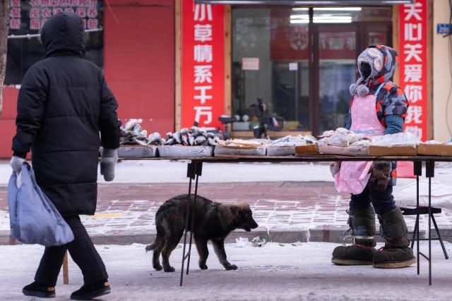 (260115) -- HARBIN, Jan. 15, 2026 (Xinhua) -- A vendor wears a pair of special cotton-padded boots to keep warm at a morning market in Heihe, northeast China's Heilongjiang Province, Jan. 14, 2026. In winter, morning markets across Heilongjiang would open amid temperatures reaching minus 20 or even 30 degrees Celsius. Local residents and tourists stroll amid the stalls, where steam would rise among the cold air. (Photo by Zhao Donglai/Xinhua)