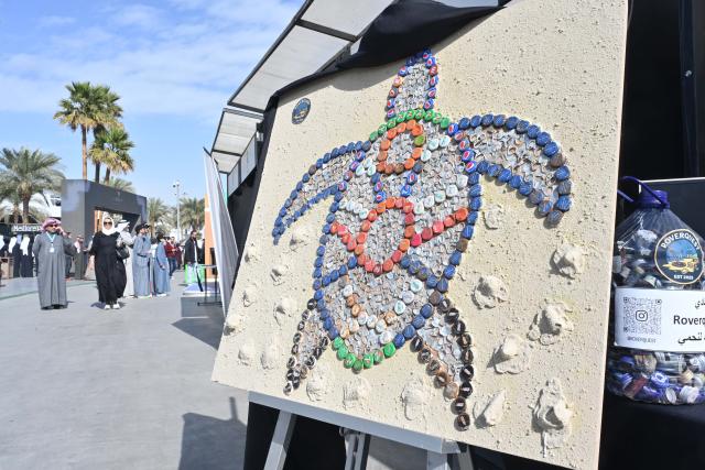 (260116) -- MUBARAK AL-KABEER, Jan. 16, 2026 (Xinhua) -- The mosaic image of a turtle made of recycled bottle caps and pop can rings is displayed during the Kuwait Sustainability Exhibition in Mubarak Al-Kabeer Governorate, Kuwait, Jan. 15, 2026. Kuwait Sustainability Exhibition opened on Thursday and will last for three days, aiming to raise awareness of supporting sustainability, recycling, and environmental protection in Kuwait. (Photo by Asad/Xinhua)