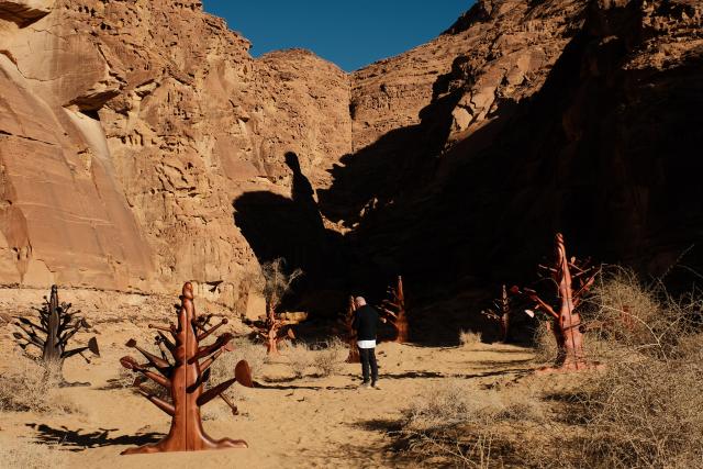 (260116) -- ALULA, Jan. 16, 2026 (Xinhua) -- A man views an artwork exhibited during a preview of the art exhibition Desert X AlUla held in AlUla, Saudi Arabia, Jan. 15, 2026. Running from Jan. 16 to Feb. 28, Desert X AlUla opens its fourth edition here on Friday, showcasing 11 site-responsive artworks across valleys, canyons, and oases under the theme "Space Without Measure." (Xinhua/Xin Mengchen)