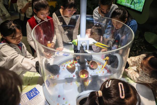 (260116) -- HAIKOU, Jan. 16, 2026 (Xinhua) -- People play a game of imitating birds feeding at the Hainan Science and Technology Museum in Haikou, south China's Hainan Province, Jan. 15, 2026. The Hainan Science and Technology Museum has recently kicked off trial operation, drawing numerous families and science fans to explore the immersive and hands-on exhibits there.
   A brand-new landmark for science popularization in the Hainan Free Trade Port, the museum in a spiraling "auspicious cloud" design boasts a total construction area of approximately 46,500 square meters. It highlights Hainan's advantages in innovation, showcases local technological achievements, and reflects the integration of ecology and technology. (Xinhua/Zhang Liyun)