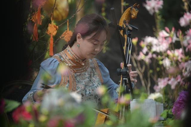 (260116) -- SINGAPORE, Jan. 16, 2026 (Xinhua) -- An artist plays horse-head fiddle during a floral display held at the Flower Dome of Singapore's Gardens by the Bay on Jan. 16, 2026. Eight life-sized horse lanterns were displayed here to greet the upcoming Chinese Year of the Horse. (Photo by Then Chih Wey/Xinhua)