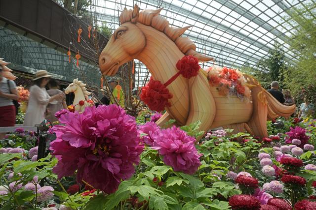 (260116) -- SINGAPORE, Jan. 16, 2026 (Xinhua) -- People visit a floral display held at the Flower Dome of Singapore's Gardens by the Bay on Jan. 16, 2026. Eight life-sized horse lanterns were displayed here to greet the upcoming Chinese Year of the Horse. (Photo by Then Chih Wey/Xinhua)