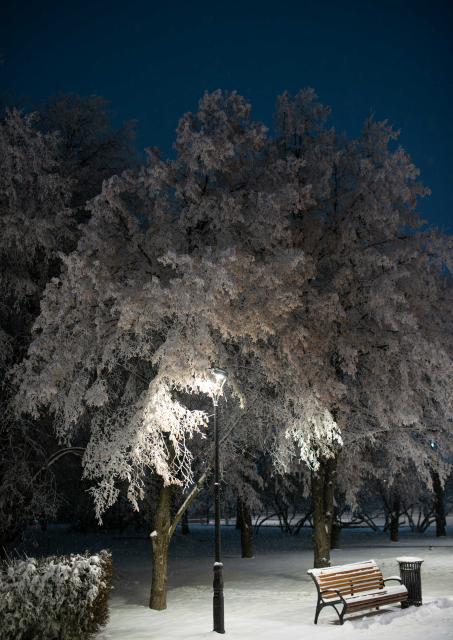 (260116) -- ALMATY, Jan. 16, 2026 (Xinhua) -- Photo taken on Jan. 16, 2026 shows the rime scenery in downtown Almaty, Kazakhstan. (Xinhua/Li Renzi)