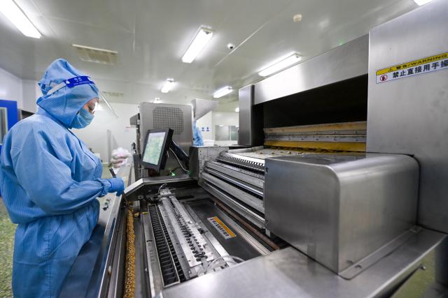 (260117) -- TIANJIN, Jan. 17, 2026 (Xinhua) -- A staff member works at a workshop of the Tianjin Pharmaceutical Da Ren Tang Group Co., Ltd. in Tianjin, north China, Dec. 25, 2025. Once regarded as an exotic alternative, Traditional Chinese Medicine (TCM) is now expanding its global presence and joining the worldwide conversation on health and lifestyle.
   TO GO WITH "China Focus: How traditional Chinese medicine is winning global hearts" (Xinhua/Zhao Zishuo)