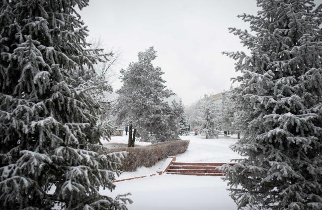 (260117) -- ALMATY, Jan. 17, 2026 (Xinhua) -- This photo taken on Jan. 16, 2026 shows the snow scenery in downtown Almaty, Kazakhstan. (Xinhua/Li Renzi)