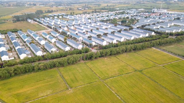 (260117) -- HEFEI, Jan. 17, 2026 (Xinhua) -- An aerial drone photo taken on Sept. 26, 2024 shows a view of Xiaogang Village in Fengyang County of Chuzhou, east China's Anhui Province. (Xinhua/Zhang Duan)