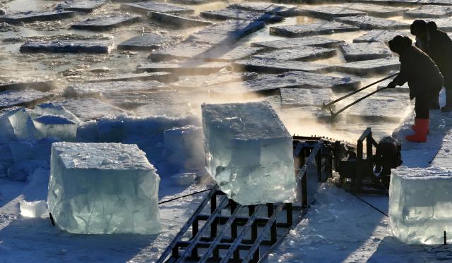 (260117) -- HARBIN, Jan. 17, 2026 (Xinhua) -- A drone photo taken on Jan. 17, 2026 shows workers collecting ice cubes from the Songhua River in Harbin, northeast China's Heilongjiang Province. While the Harbin Ice-Snow World is still in full swing receiving visitors, ice collection and storage work for the next season has already kicked off on the Songhua River not far from the amusement park. (Photo by Zhang Shu/Xinhua)