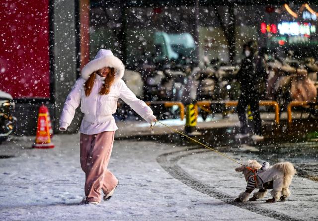 (260117) -- BEIJING, Jan. 17, 2026 (Xinhua) -- A citizen walks a dog amidst snowfall in Beijing, capital of China, on Jan. 17, 2026. Beijing witnessed a snowfall on Friday. (Xinhua/Chen Yehua)