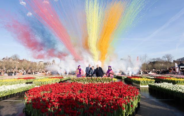 (260118) -- AMSTERDAM, Jan. 18, 2026 (Xinhua) -- A firework show is staged at a huge picking garden with more than 200,000 tulips on the Museum Square in Amsterdam, the Netherlands, Jan. 17, 2026. The Dutch celebrated the annual National Tulip Day, which is traditionally marked on the third Saturday of the year. (Photo by Sylvia Lederer/Xinhua)