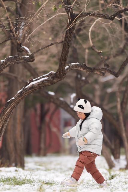 (260118) -- BEIJING, Jan. 18, 2026 (Xinhua) -- A child walks on a street after a snowfall in Beijing, capital of China, Jan. 18, 2026. Beijing witnessed a snowfall this weekend. (Xinhua/Xie Han)
