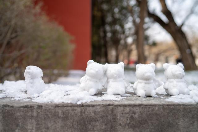 (260118) -- BEIJING, Jan. 18, 2026 (Xinhua) -- This photo shows mini snowmen by a street in Beijing, capital of China, Jan. 18, 2026. Beijing witnessed a snowfall this weekend. (Xinhua/Xie Han)