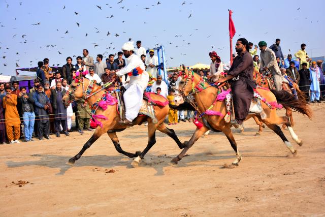 (260118) -- HYDERABAD, Jan. 18, 2026 (Xinhua) -- Horsemen compete in a horse race, as part of the local annual horse and cattle show in Hyderabad, southern Pakistan, on Jan. 17, 2026. (Str/Xinhua)
