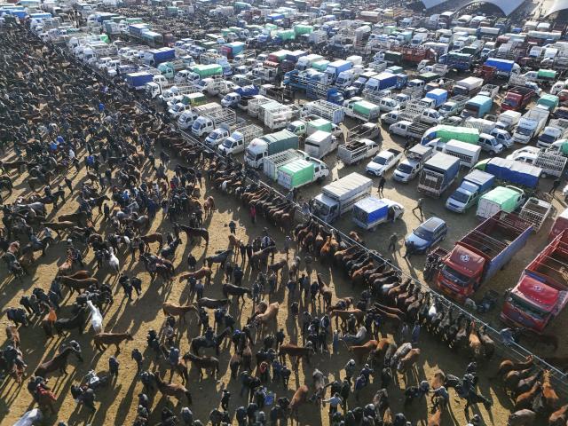 (260118) -- YINING, Jan. 18, 2026 (Xinhua) -- An aerial drone photo taken on Dec. 3, 2025 shows a view of the horse trading area of Huanggong Bazaar, Xinjiang's largest livestock market, in northwest China's Xinjiang Uygur Autonomous Region. TO GO WITH "Feature: Livestock brokers in China's Xinjiang seize their moment" (Xinhua/Hu Huhu)