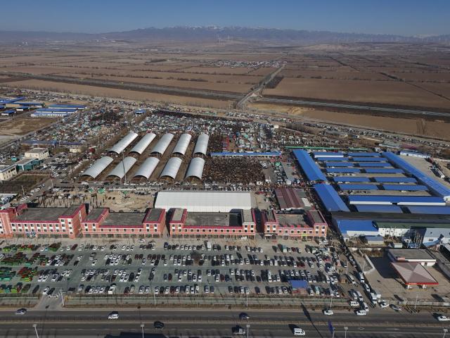 (260118) -- YINING, Jan. 18, 2026 (Xinhua) -- An aerial drone photo taken on Dec. 1, 2025 shows a view of Huanggong Bazaar, Xinjiang's largest livestock market, in northwest China's Xinjiang Uygur Autonomous Region. TO GO WITH "Feature: Livestock brokers in China's Xinjiang seize their moment" (Xinhua/Hu Huhu)