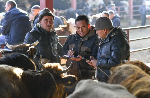 (260118) -- YINING, Jan. 18, 2026 (Xinhua) -- Ma Jun (C) records a seller's telephone number after purchasing his cattle at Huanggong Bazaar, Xinjiang's largest livestock market, in northwest China's Xinjiang Uygur Autonomous Region, on Dec. 3, 2025. TO GO WITH "Feature: Livestock brokers in China's Xinjiang seize their moment" (Xinhua/Hu Huhu)