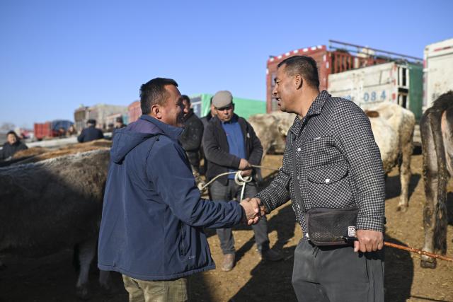 (260118) -- YINING, Jan. 18, 2026 (Xinhua) -- Ma Jun (R) shakes hands with a seller to seal a deal at Huanggong Bazaar, Xinjiang's largest livestock market, in northwest China's Xinjiang Uygur Autonomous Region, on Dec. 1, 2025. TO GO WITH "Feature: Livestock brokers in China's Xinjiang seize their moment" (Xinhua/Hu Huhu)