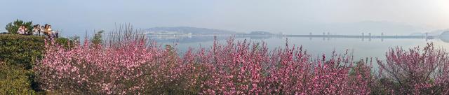 (260118) -- BEIJING, Jan. 18, 2026 (Xinhua) -- A drone panoramic photo taken on Jan. 17, 2026 shows people enjoying plum blossoms at the scenic area of the hometown of Qu Yuan, a patriotic poet of ancient China, in Zigui County of Yichang, central China's Hubei Province. (Photo by Wang Gang/Xinhua)