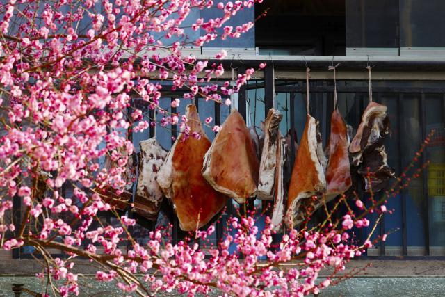 (260118) -- BEIJING, Jan. 18, 2026 (Xinhua) -- Plum blossoms are seen with a line of traditional preserved pork, known as La Rou, in Qianjiang District of Chongqing, southwest China, Jan. 13, 2026. (Photo by Yang Min/Xinhua)