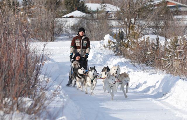(260119) -- ASTANA, Jan. 19, 2026 (Xinhua) -- People ride a dog sled in Astana, Kazakhstan, Jan. 18, 2026. (Photo by Kalizhan Ospanov/Xinhua)