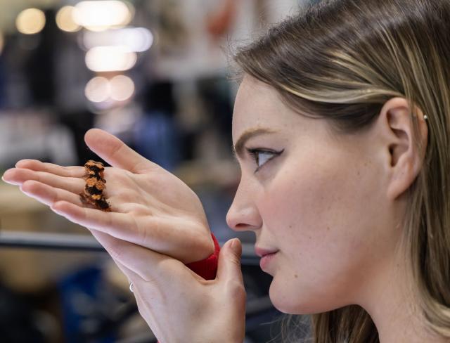 (260119) -- MISSISSAUGA, Jan. 19, 2026 (Xinhua) -- A woman looks at a gecko during the Reptile and Plant Expo in Mississauga, Ontario, Canada, Jan. 18, 2026. (Photo by Zou Zheng/Xinhua)