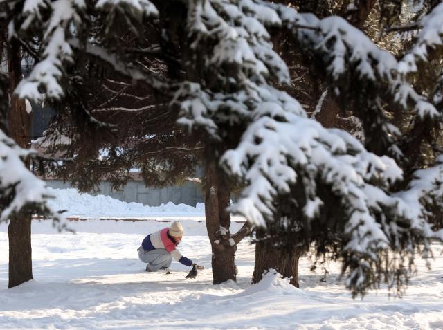 (260119) -- BISHKEK, Jan. 19, 2026 (Xinhua) -- A resident is pictured in a snow-covered street in Bishkek, Kyrgyzstan, Jan. 18, 2026. (Photo by Roman/Xinhua)