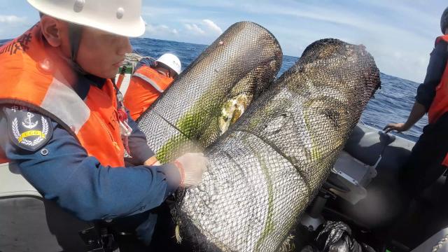 (260121) -- XIANBIN JIAO, Jan. 21, 2026 (Xinhua) -- This photo taken on Jan. 12, 2026 shows illegally planted fish traps dismantled by law enforcement officers aboard the China Coast Guard vessel Fuying patrolling the waters near the Xianbin Jiao in the South China Sea. The illegally planted fish traps were spotted by the China Coast Guard vessel Fuying patrolling the waters near the Xianbin Jiao in the South China Sea on Jan. 12.
   Above the water the traps usually feature buoyant materials such as tires, foam, or iron barrels. Beneath the "tip of the iceberg" are ropes stretching dozens of to more than a hundred meters deep on which tree branches are attached to lure fish schools. 
   A law enforcement officer said the illegal fish traps are not easy to detect at sea due to their small size above water, yet they pose grave threats to sailing as the ropes or branches might get stuck in the propeller. Besides, tiny particles of tires, foam, or iron barrels could be absorbed by fish schools, threatening marine life and environment.
   China Coast Guard will remain vigilant in patrols to the illegal fish traps lurking around. When detected, the traps would be dismantled immediately so as to safeguard sailing security and ecological well-being in the waters under China's jurisdiction. (Xinhua/Zhao Wenxuan)