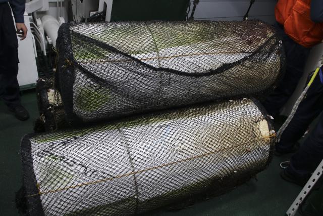 (260121) -- XIANBIN JIAO, Jan. 21, 2026 (Xinhua) -- This photo taken on Jan. 12, 2026 shows illegally planted fish traps dismantled by law enforcement officers aboard the China Coast Guard vessel Fuying patrolling the waters near the Xianbin Jiao in the South China Sea. The illegally planted fish traps were spotted by the China Coast Guard vessel Fuying patrolling the waters near the Xianbin Jiao in the South China Sea on Jan. 12.
   Above the water the traps usually feature buoyant materials such as tires, foam, or iron barrels. Beneath the "tip of the iceberg" are ropes stretching dozens of to more than a hundred meters deep on which tree branches are attached to lure fish schools. 
   A law enforcement officer said the illegal fish traps are not easy to detect at sea due to their small size above water, yet they pose grave threats to sailing as the ropes or branches might get stuck in the propeller. Besides, tiny particles of tires, foam, or iron barrels could be absorbed by fish schools, threatening marine life and environment.
   China Coast Guard will remain vigilant in patrols to the illegal fish traps lurking around. When detected, the traps would be dismantled immediately so as to safeguard sailing security and ecological well-being in the waters under China's jurisdiction. (Xinhua/Zhao Wenxuan)