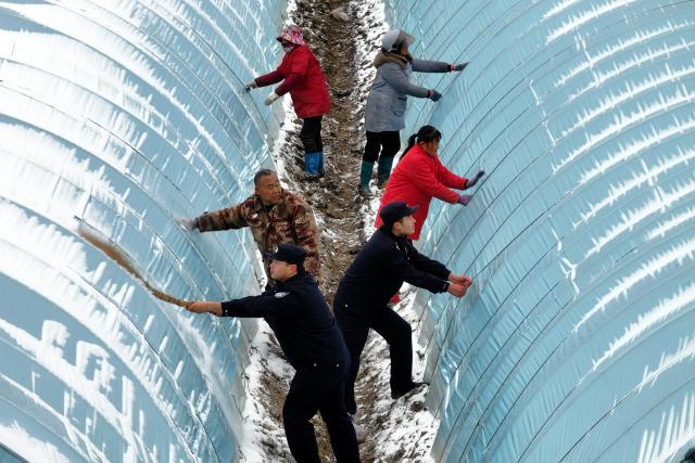 (260121) -- BEIJING, Jan. 21, 2026 (Xinhua) -- Police officers help farmers remove snow on greenhouses after a snowfall in Qianzhuang Village of Baoying County, east China's Jiangsu Province, on Jan. 19, 2026. (Photo by Shen Dongbing/Xinhua)