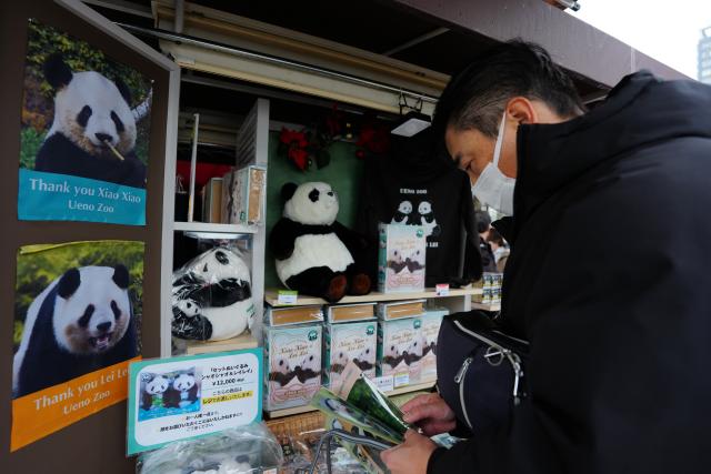 (260121) -- BEIJING, Jan. 21, 2026 (Xinhua) -- A visitor chooses souvenirs inspired by giant pandas Xiao Xiao and Lei Lei at Ueno Zoo in Tokyo, Japan, Dec. 25, 2025. Giant pandas Xiao Xiao and Lei Lei, currently residing at a zoo in Tokyo, will depart for China on Jan. 27, marking the first time in about half a century that Japan will be without any pandas, local media reported. (Xinhua/Jia Haocheng)