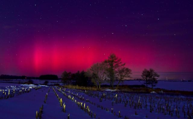 (260121) -- HARBIN, Jan. 21, 2026 (Xinhua) -- This photo taken on Jan. 20, 2026 shows the aurora observed from Heihe, northeast China's Heilongjiang Province. (Photo by Qian Boyu/Xinhua)