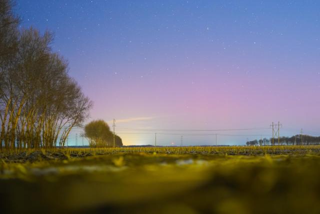 (260121) -- HARBIN, Jan. 21, 2026 (Xinhua) -- This photo taken on Jan. 20, 2026 shows the aurora observed from Qiqihar, northeast China's Heilongjiang Province. (Photo by Li Xin/Xinhua)