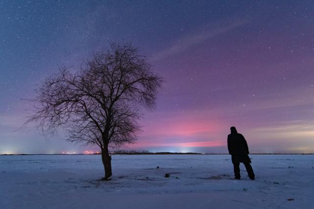 (260121) -- HARBIN, Jan. 21, 2026 (Xinhua) -- This photo taken on Jan. 20, 2026 shows the aurora observed from Fujin, northeast China's Heilongjiang Province. (Photo by Qu Yubao/Xinhua)