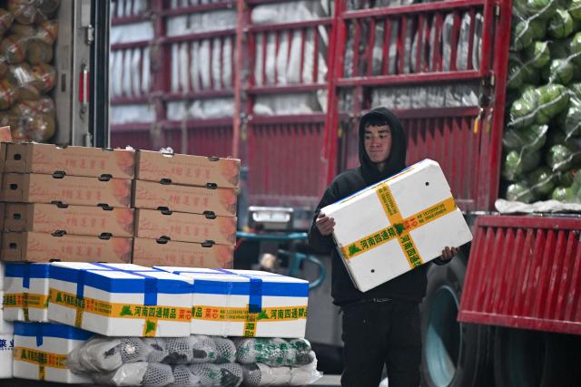 (260121) -- URUMQI, Jan. 21, 2026 (Xinhua) -- A vendor transports fresh vegetables at the Jiuding agricultural products wholesale market in Urumqi, northwest China's Xinjiang Uygur Autonomous Region, Jan. 19, 2026. A massive cold wave has hit northwest China's Xinjiang Uygur Autonomous Region recently, causing sharp temperature drops. Authorities across sectors in the region have worked in coordination to ensure an ample supply of vegetables and fruits.
    The Jiuding agricultural products wholesale market in Urumqi, a regional logistics hub for agricultural produce, has launched a preemptive mechanism to secure supply sources and boost stocks in advance. At present, local markets are well stocked with vegetable and fruits, while prices remain stable. (Xinhua/Ding Lei)