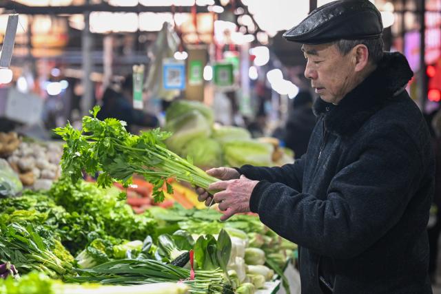 (260121) -- URUMQI, Jan. 21, 2026 (Xinhua) -- A man buys vegetables at an agricultural products market in Urumqi, northwest China's Xinjiang Uygur Autonomous Region, Jan. 20, 2026. A massive cold wave has hit northwest China's Xinjiang Uygur Autonomous Region recently, causing sharp temperature drops. Authorities across sectors in the region have worked in coordination to ensure an ample supply of vegetables and fruits.
    The Jiuding agricultural products wholesale market in Urumqi, a regional logistics hub for agricultural produce, has launched a preemptive mechanism to secure supply sources and boost stocks in advance. At present, local markets are well stocked with vegetable and fruits, while prices remain stable. (Xinhua/Ding Lei)