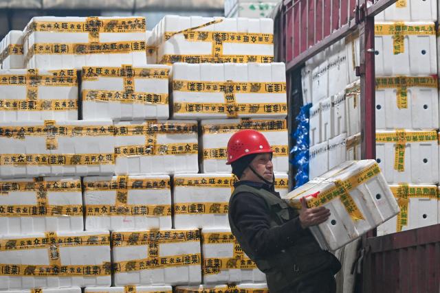 (260121) -- URUMQI, Jan. 21, 2026 (Xinhua) -- A staff member unloads a box of fresh vegetables from a truck at the Jiuding agricultural products wholesale market in Urumqi, northwest China's Xinjiang Uygur Autonomous Region, Jan. 19, 2026. A massive cold wave has hit northwest China's Xinjiang Uygur Autonomous Region recently, causing sharp temperature drops. Authorities across sectors in the region have worked in coordination to ensure an ample supply of vegetables and fruits.
    The Jiuding agricultural products wholesale market in Urumqi, a regional logistics hub for agricultural produce, has launched a preemptive mechanism to secure supply sources and boost stocks in advance. At present, local markets are well stocked with vegetable and fruits, while prices remain stable. (Xinhua/Ding Lei)