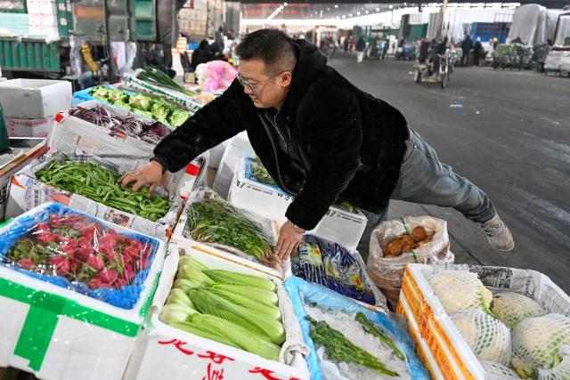 (260121) -- URUMQI, Jan. 21, 2026 (Xinhua) -- A vendor arranges vegetables at the Jiuding agricultural products wholesale market in Urumqi, northwest China's Xinjiang Uygur Autonomous Region, Jan. 19, 2026. A massive cold wave has hit northwest China's Xinjiang Uygur Autonomous Region recently, causing sharp temperature drops. Authorities across sectors in the region have worked in coordination to ensure an ample supply of vegetables and fruits.
    The Jiuding agricultural products wholesale market in Urumqi, a regional logistics hub for agricultural produce, has launched a preemptive mechanism to secure supply sources and boost stocks in advance. At present, local markets are well stocked with vegetable and fruits, while prices remain stable. (Xinhua/Ding Lei)