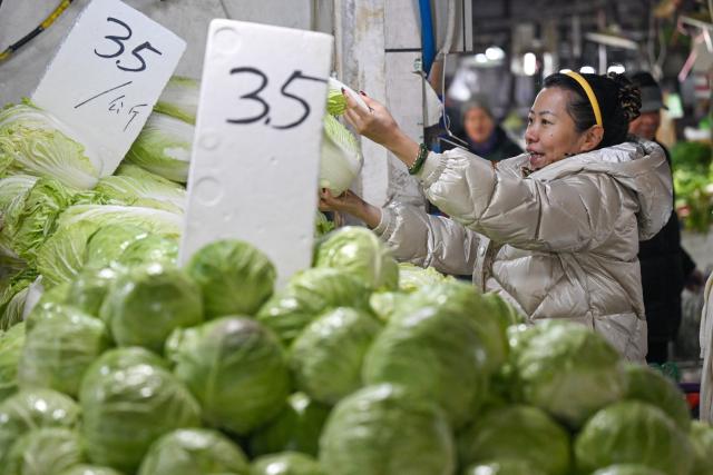 (260121) -- URUMQI, Jan. 21, 2026 (Xinhua) -- A resident buys vegetables at a farmers' market in Urumqi, northwest China's Xinjiang Uygur Autonomous Region, Jan. 20, 2026. A massive cold wave has hit northwest China's Xinjiang Uygur Autonomous Region recently, causing sharp temperature drops. Authorities across sectors in the region have worked in coordination to ensure an ample supply of vegetables and fruits.
    The Jiuding agricultural products wholesale market in Urumqi, a regional logistics hub for agricultural produce, has launched a preemptive mechanism to secure supply sources and boost stocks in advance. At present, local markets are well stocked with vegetable and fruits, while prices remain stable. (Xinhua/Ding Lei)