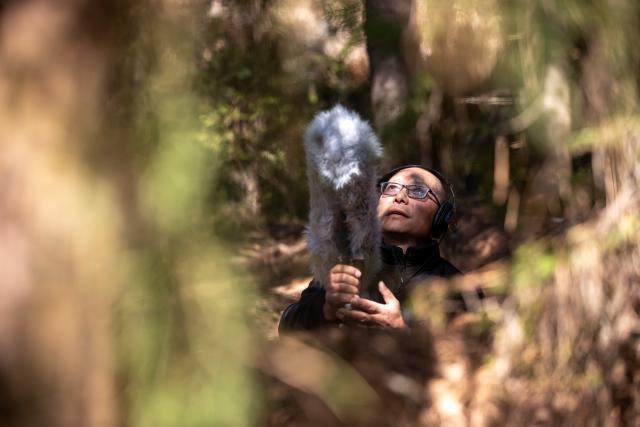 (260121) -- LIJIANG, Jan. 21, 2026 (Xinhua) -- He Dehua collects sounds of birds at a park at the ancient city of Lijiang, southwest China's Yunnan Province, Jan. 16, 2026. He Dehua, 51, and his wife refurbished an old house of theirs in October 2025, and turned it into a music club called "Wayfarers," where they can share their personal stories with travelers and long-lost friends.
   The name "Wayfarers" came from a CD He had co-produced, drawing inspiration from his memory of watching elders of the family leaving hometown to work for livelihood. "We are all wayfarers in our own life, but we must not forget to search for the truth of life and the true self," said He.
   He has been a career musician for about three decades since he went to learn guitar playing in Beijing in 1997. Back to his hometown in Lijiang, he started to challenge himself by impressing the visitors to this olden city with music, songs and sounds of nature.
   He set out to collect voices and sounds in 2011, and has garnered more than 200 hours of recordings, which included some intangible cultural heritage items, voices in routine life, and melodies performed by folk artists. (Xinhua/Jiang Wenyao)