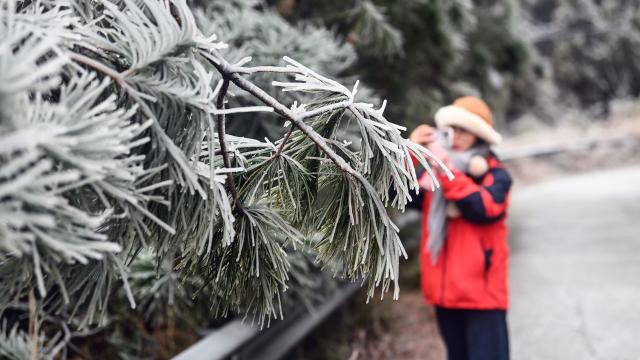 (260121) -- SANJIANG, Jan. 21, 2026 (Xinhua) -- A visitor takes photos of icicles in Sanjiang Dong Autonomous County, south China's Guangxi Zhuang Autonomous Region, Jan. 21, 2026. (Xinhua/Zhang Ailin)