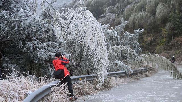 (260121) -- SANJIANG, Jan. 21, 2026 (Xinhua) -- A visitor takes photos of icicles in Sanjiang Dong Autonomous County, south China's Guangxi Zhuang Autonomous Region, Jan. 21, 2026. (Xinhua/Zhang Ailin)