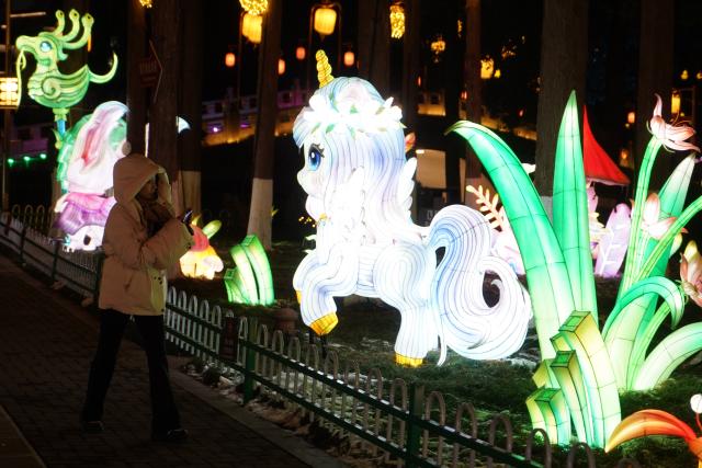 (260121) -- NANJING, Jan. 21, 2026 (Xinhua) -- A tourist views light decorations displayed at the Bailuzhou Park during the 40th Qinhuai Lantern Festival in Nanjing, east China's Jiangsu Province, Jan. 21, 2026. The lighting ceremony of the festival was held at the Bailuzhou Park on Wednesday. The festival can be visited in several exhibition areas near the Qinhuai river in the city of Nanjing. (Photo by Liu Zhenrui/Xinhua)